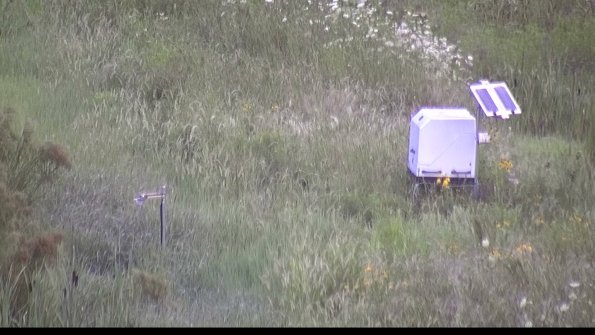 capture-6-23-08-01_07-14-12-15