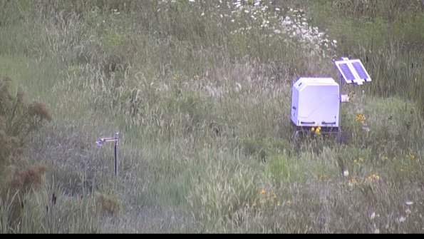 capture-6-23-08-01_07-16-22-15