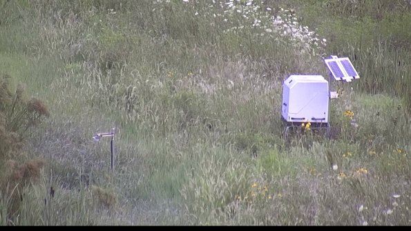 capture-6-23-08-01_07-20-42-31