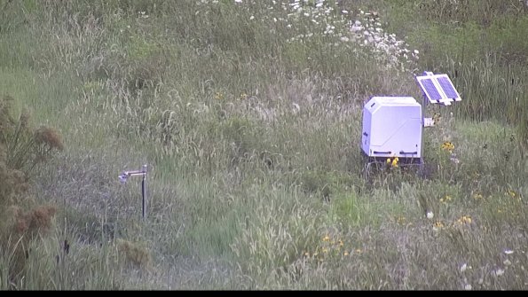 capture-6-23-08-01_07-27-12-36