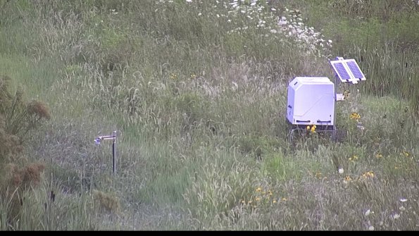 capture-6-23-08-01_07-31-32-23