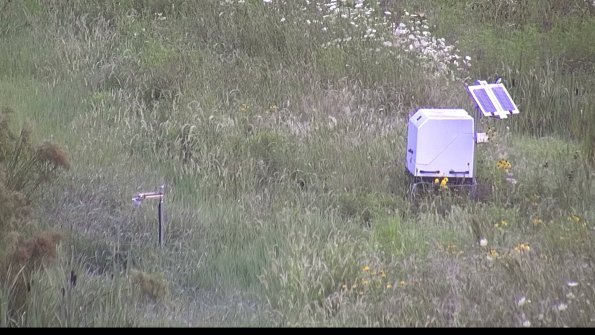 capture-6-23-08-01_07-38-02-22