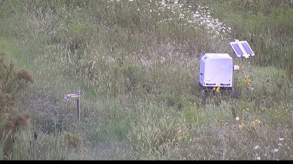 capture-6-23-08-01_07-55-22-23