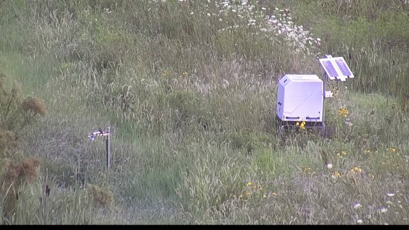 capture-6-23-08-01_08-17-02-20