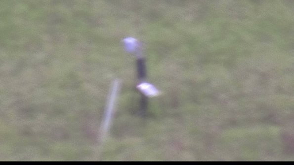 capture-7-23-08-01_08-51-55-64