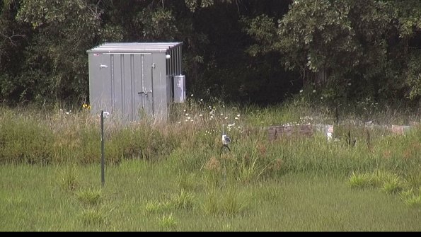 capture-2-23-08-02_15-28-11-41