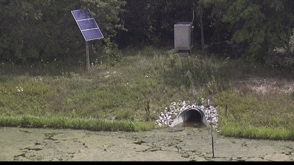 capture-3-23-08-02_13-24-42-44