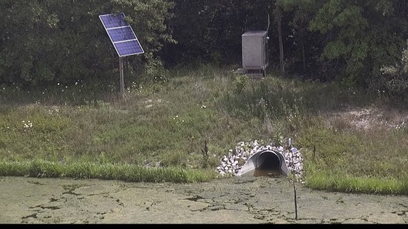 capture-3-23-08-02_13-37-41-56