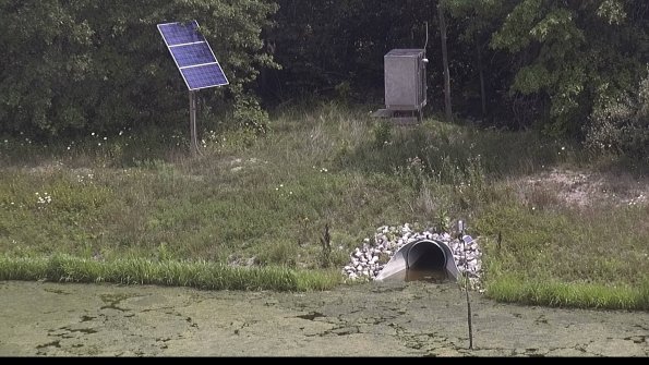 capture-3-23-08-02_14-01-38-90