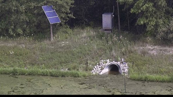 capture-3-23-08-02_15-19-40-06