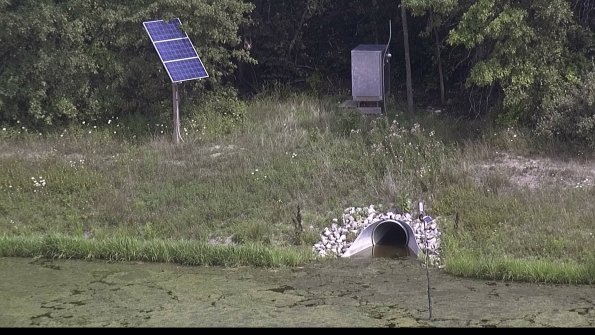 capture-3-23-08-02_15-36-59-44