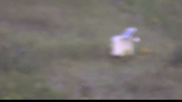 capture-4-23-08-02_07-01-45-62