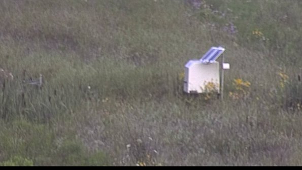 capture-4-23-08-02_07-19-05-50