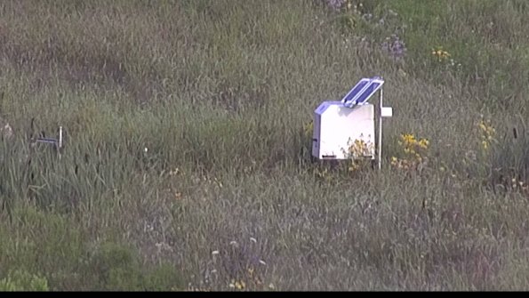 capture-4-23-08-02_08-08-55-47