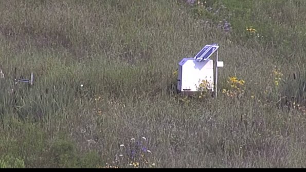 capture-4-23-08-02_08-43-36-36