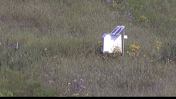 capture-4-23-08-02_08-52-15-45