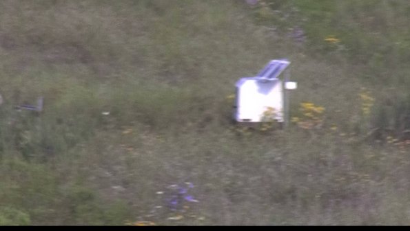 capture-4-23-08-02_09-00-55-54