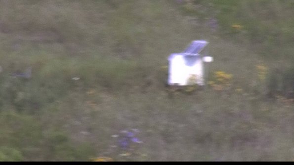 capture-4-23-08-02_09-13-55-39