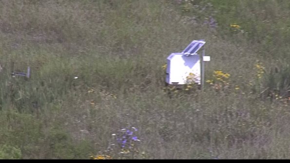 capture-4-23-08-02_09-26-55-38