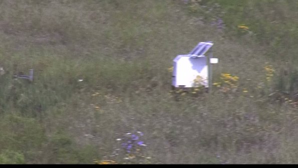 capture-4-23-08-02_09-42-05-46