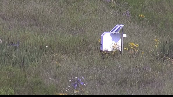 capture-4-23-08-02_09-50-45-38