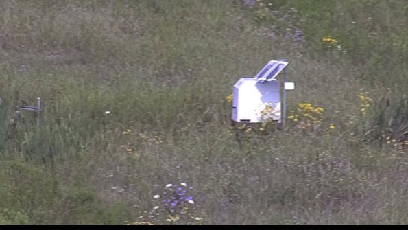 capture-4-23-08-02_10-14-35-45