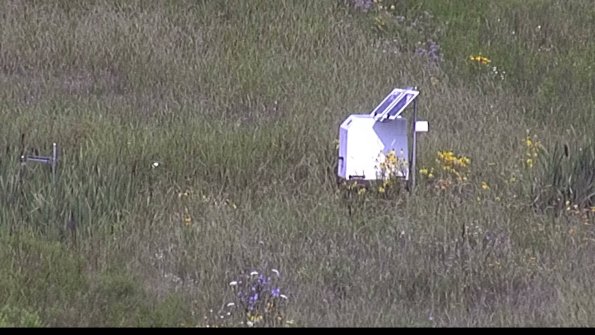 capture-4-23-08-02_10-44-54-44