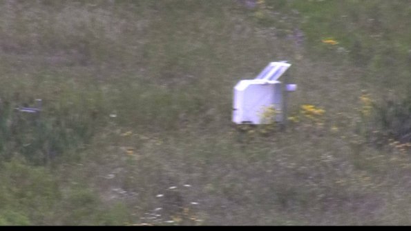 capture-4-23-08-02_13-07-32-58