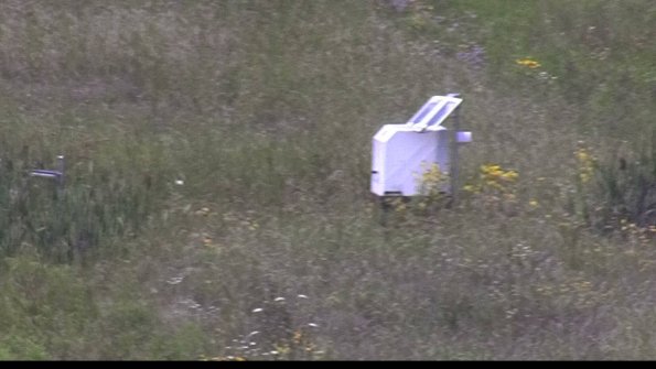 capture-4-23-08-02_13-11-53-57