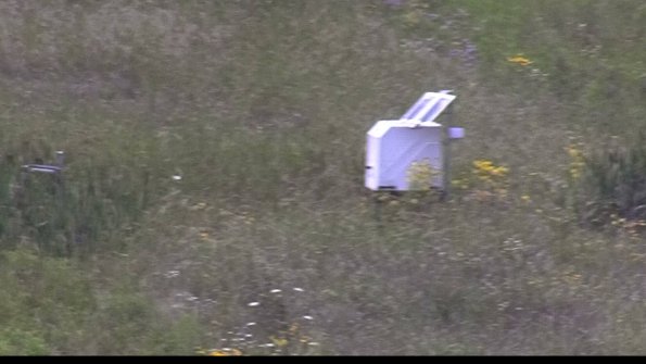 capture-4-23-08-02_13-40-03-67