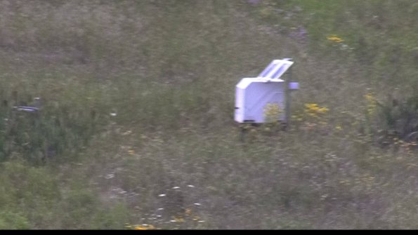 capture-4-23-08-02_13-42-20-64