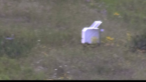 capture-4-23-08-02_13-44-29-60