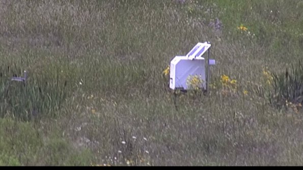 capture-4-23-08-02_13-46-39-63