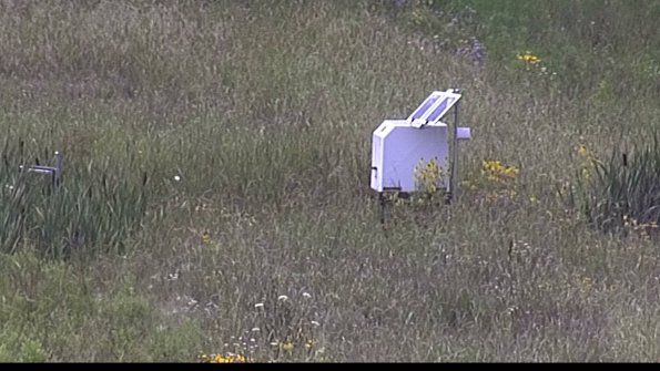 capture-4-23-08-02_14-01-50-78