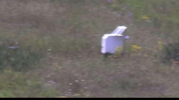 capture-4-23-08-02_14-08-00-55