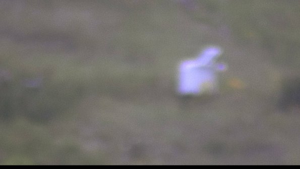 capture-4-23-08-02_20-44-33-77