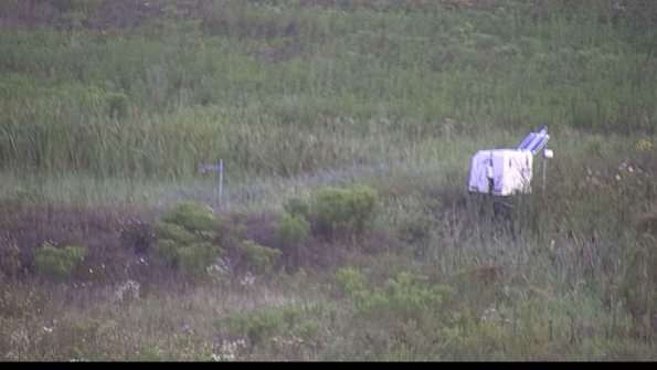 capture-5-23-08-02_07-21-24-41