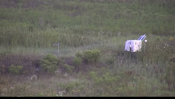 capture-5-23-08-02_07-25-45-37