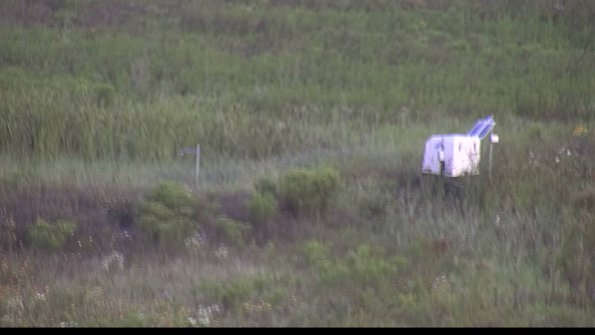 capture-5-23-08-02_07-40-54-41