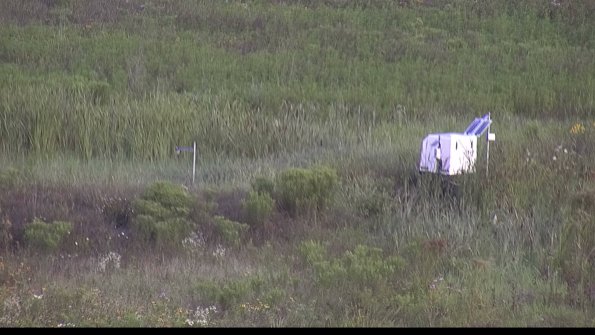 capture-5-23-08-02_08-06-54-38