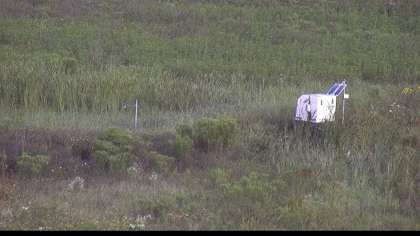 capture-5-23-08-02_08-24-14-46