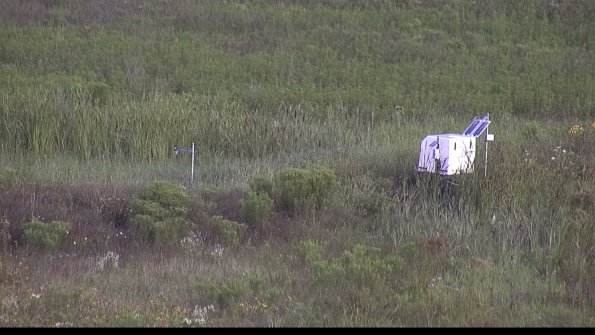 capture-5-23-08-02_08-26-25-39