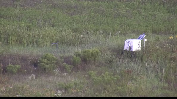 capture-5-23-08-02_08-28-34-39