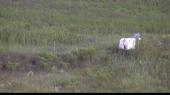 capture-5-23-08-02_08-41-34-37