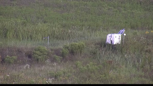 capture-5-23-08-02_08-54-35-39