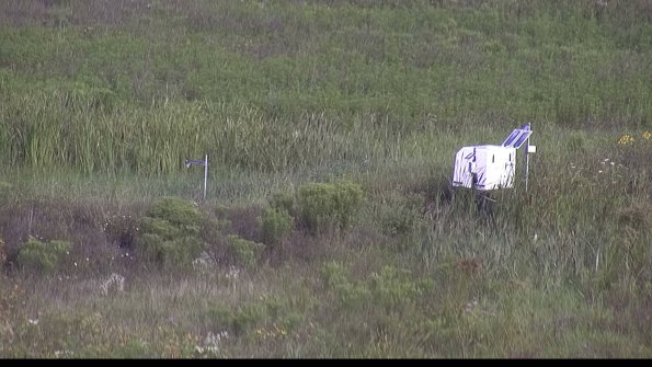 capture-5-23-08-02_09-01-04-39