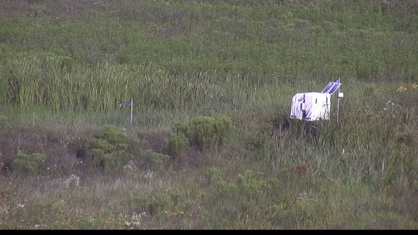 capture-5-23-08-02_09-14-06-34