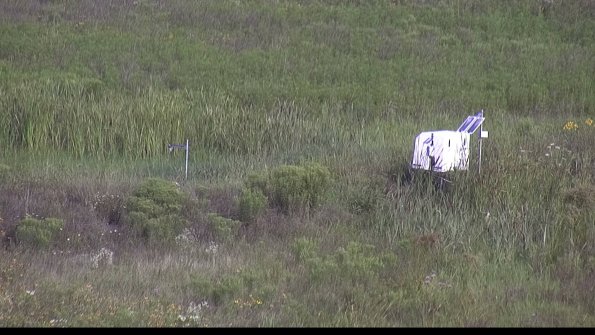 capture-5-23-08-02_09-18-24-40