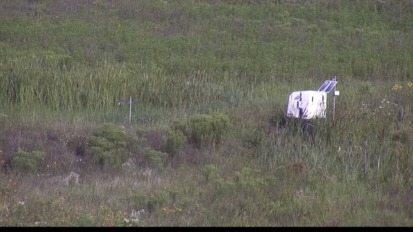 capture-5-23-08-02_09-20-35-39