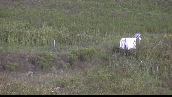 capture-5-23-08-02_09-22-44-39